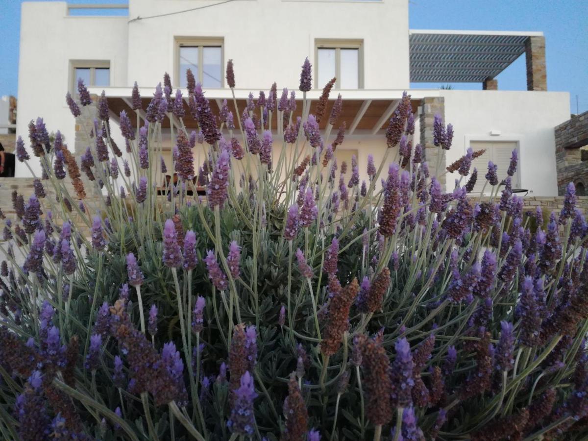 Nesaea Seafront House Parasporos Exterior foto